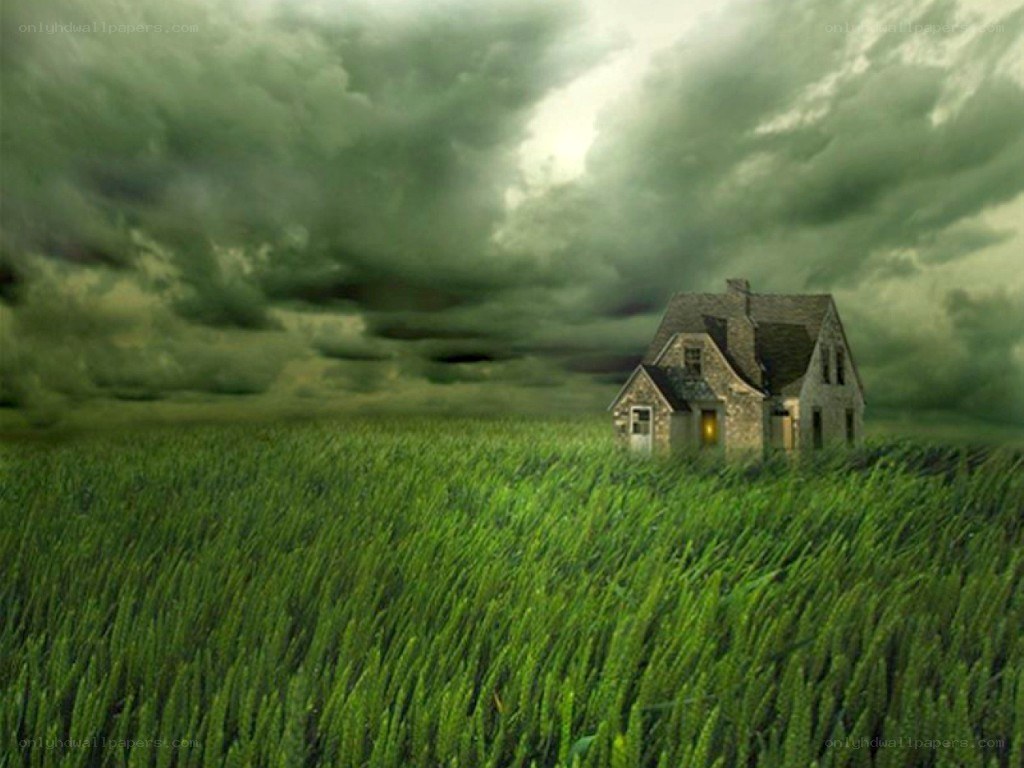 House in a green field