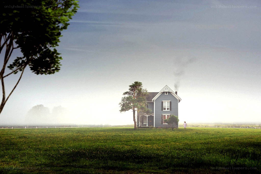 House in a misty field