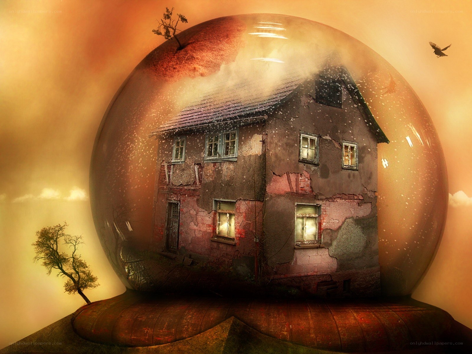 House in a snow globe