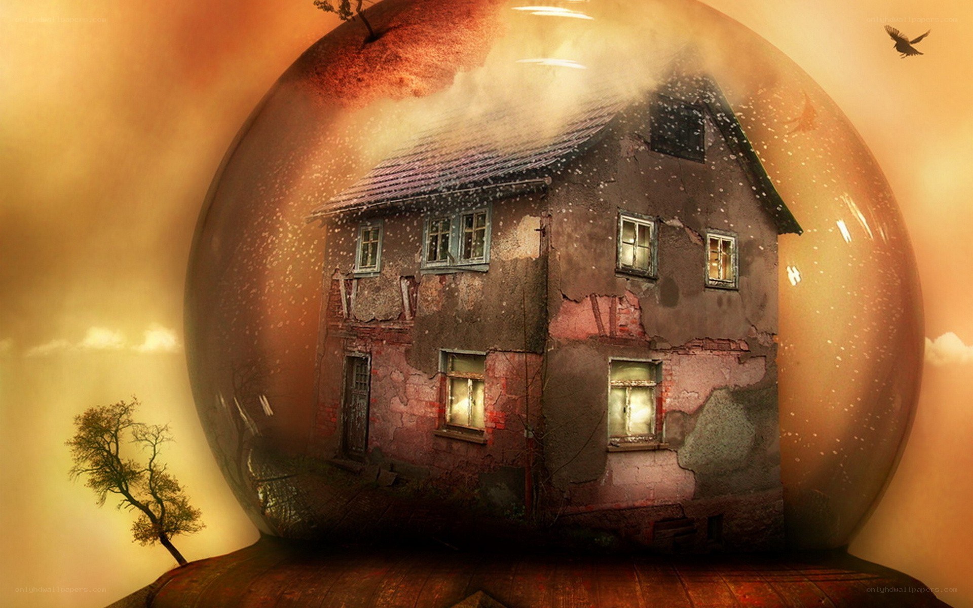 House in a snow globe