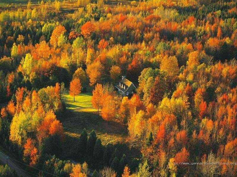 House in Autumn Forest — Orange, Serene, Photograph, Trees