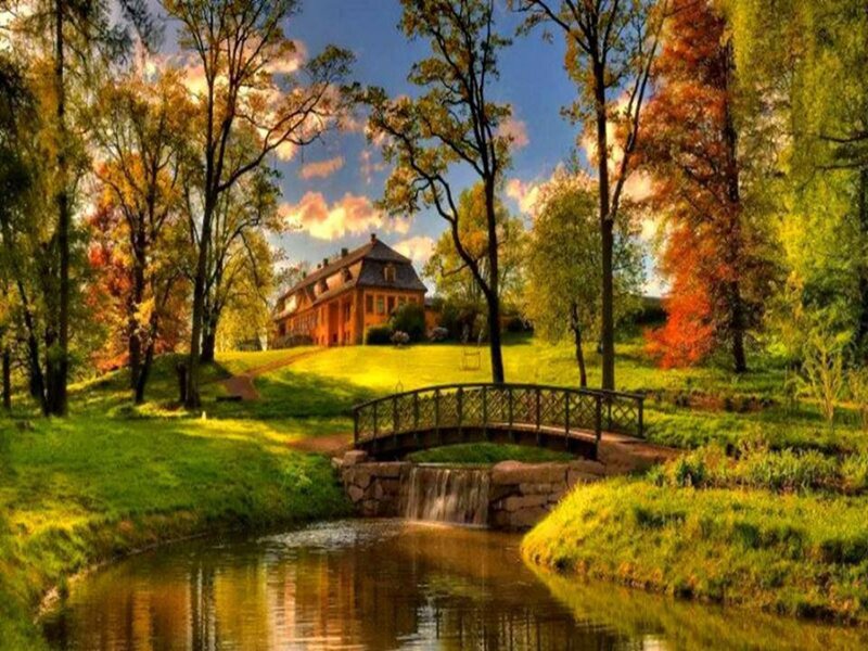 House in Autumn Park — Green