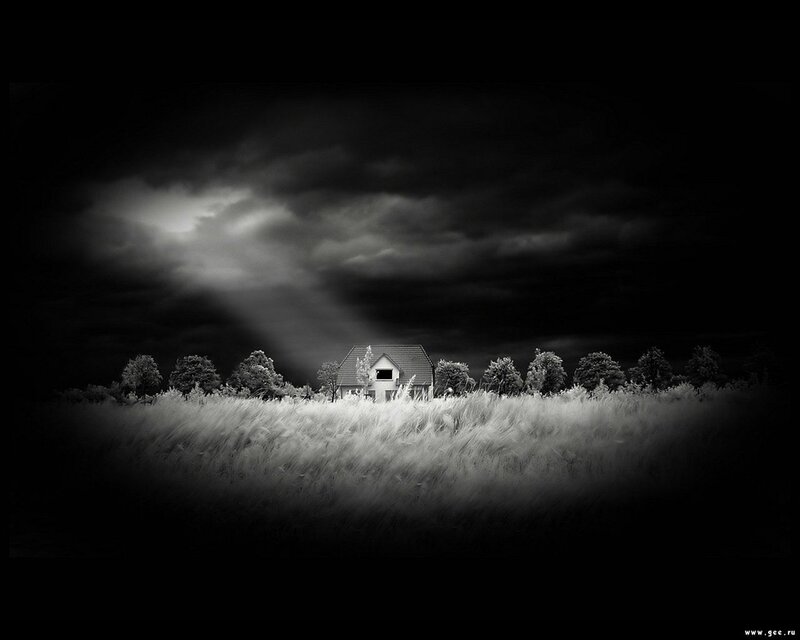 House in Field at Night — Black