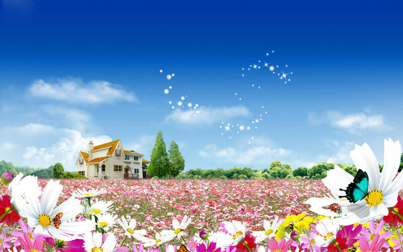 House in Flower Field