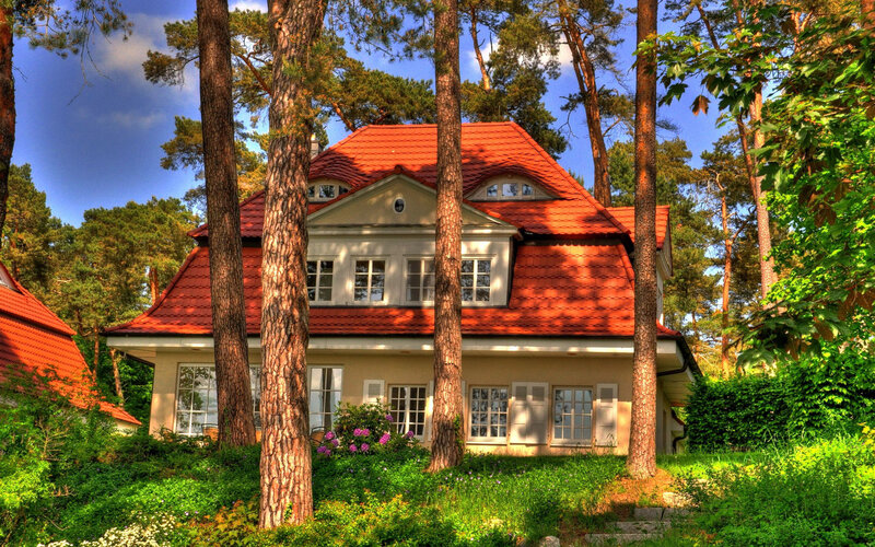 House in Forest