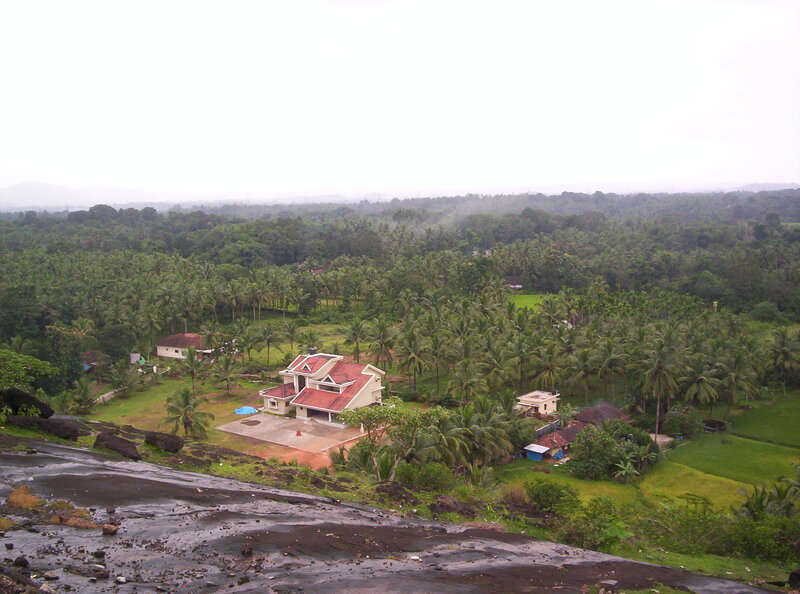 House in Palm Grove