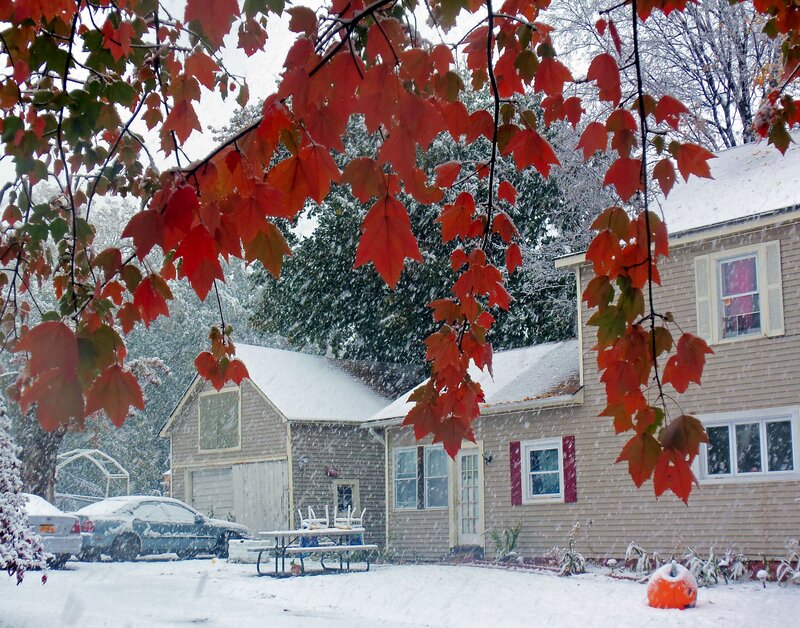 House in Snow with Autumn Leaves