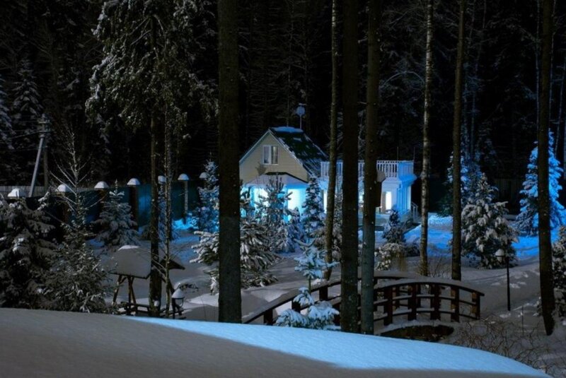 House in Snowy Forest — Blue