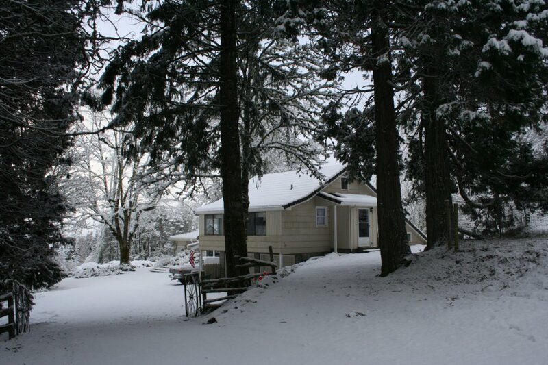 House in Snowy Forest — White