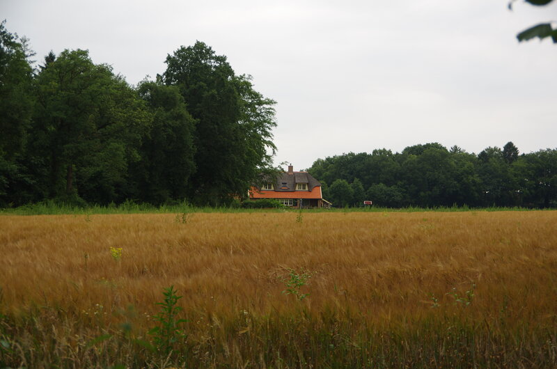 House in Wheat Field — Brown
