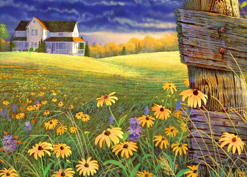 House in Wildflower Field