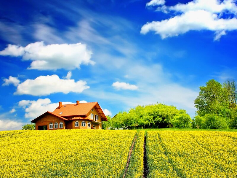 House in Yellow Field