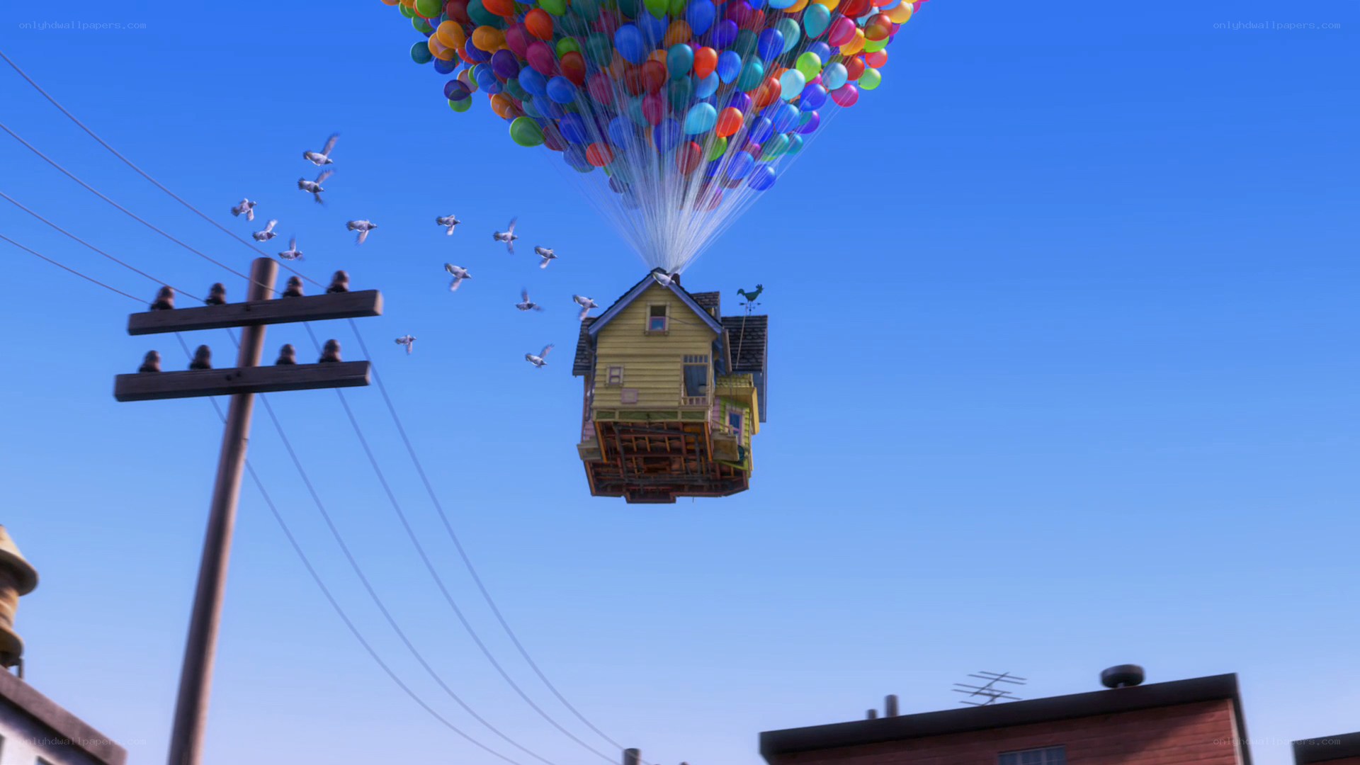 house lifted by balloons