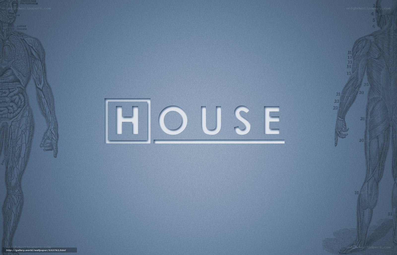 House logo with anatomical drawings