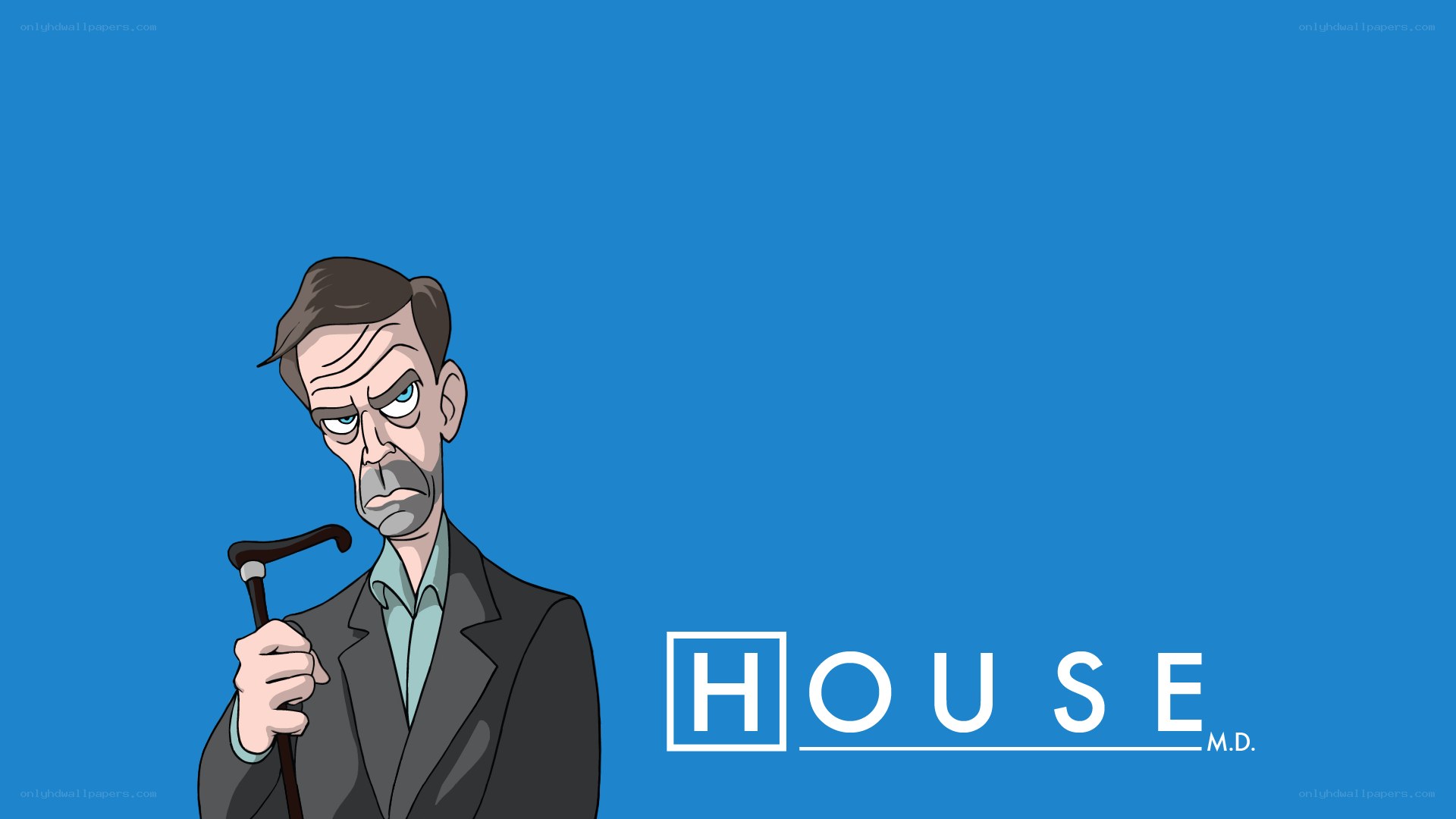 House M.D. character illustration
