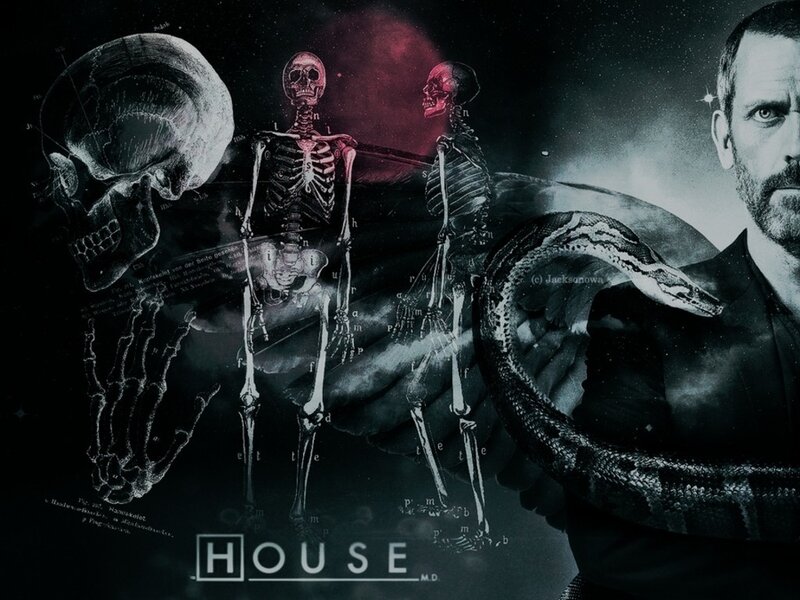 House M.D. promotional art