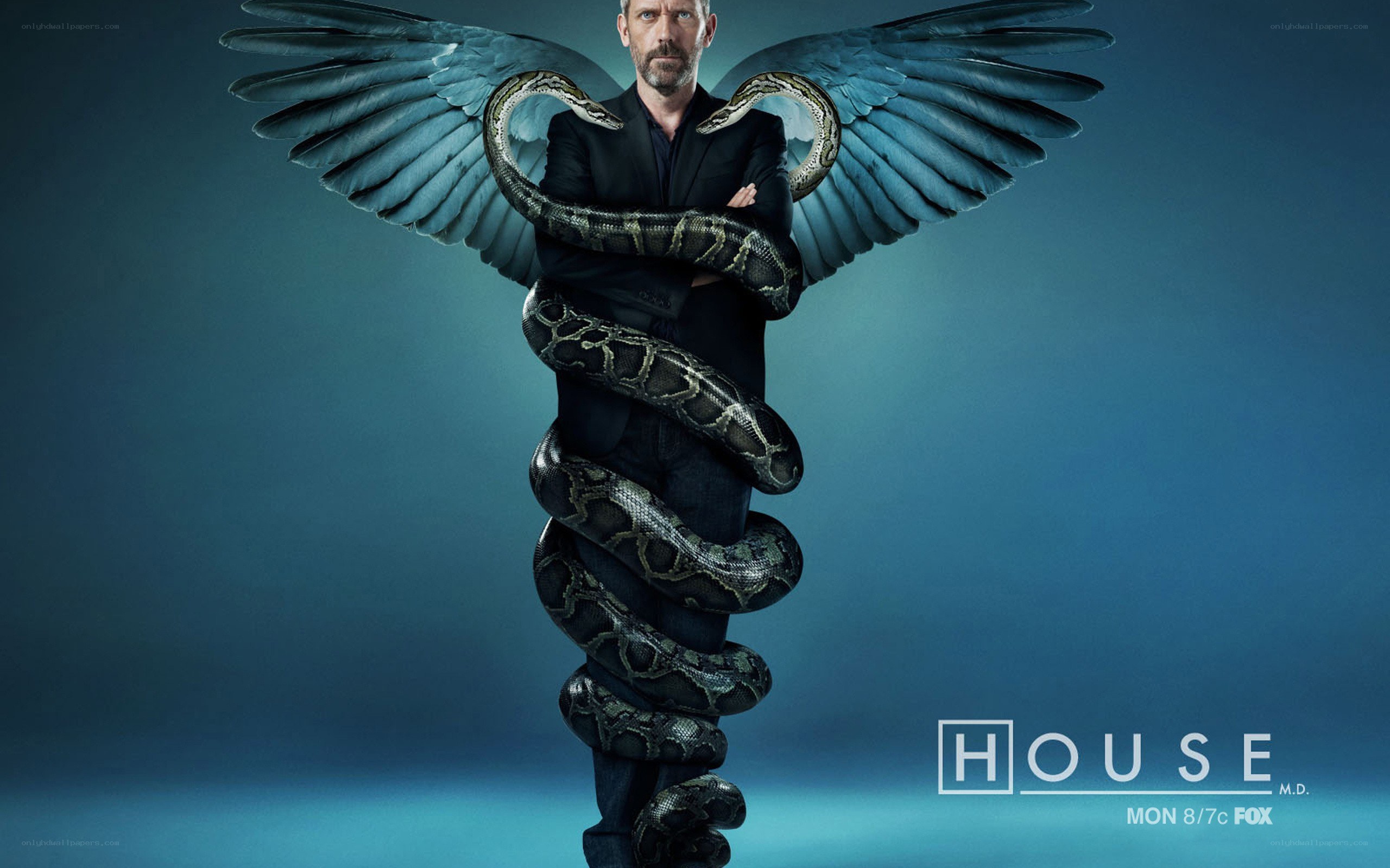 House M.D. promotional poster