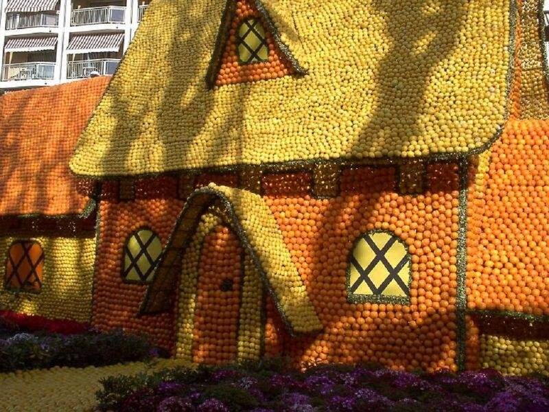 House Made of Fruit