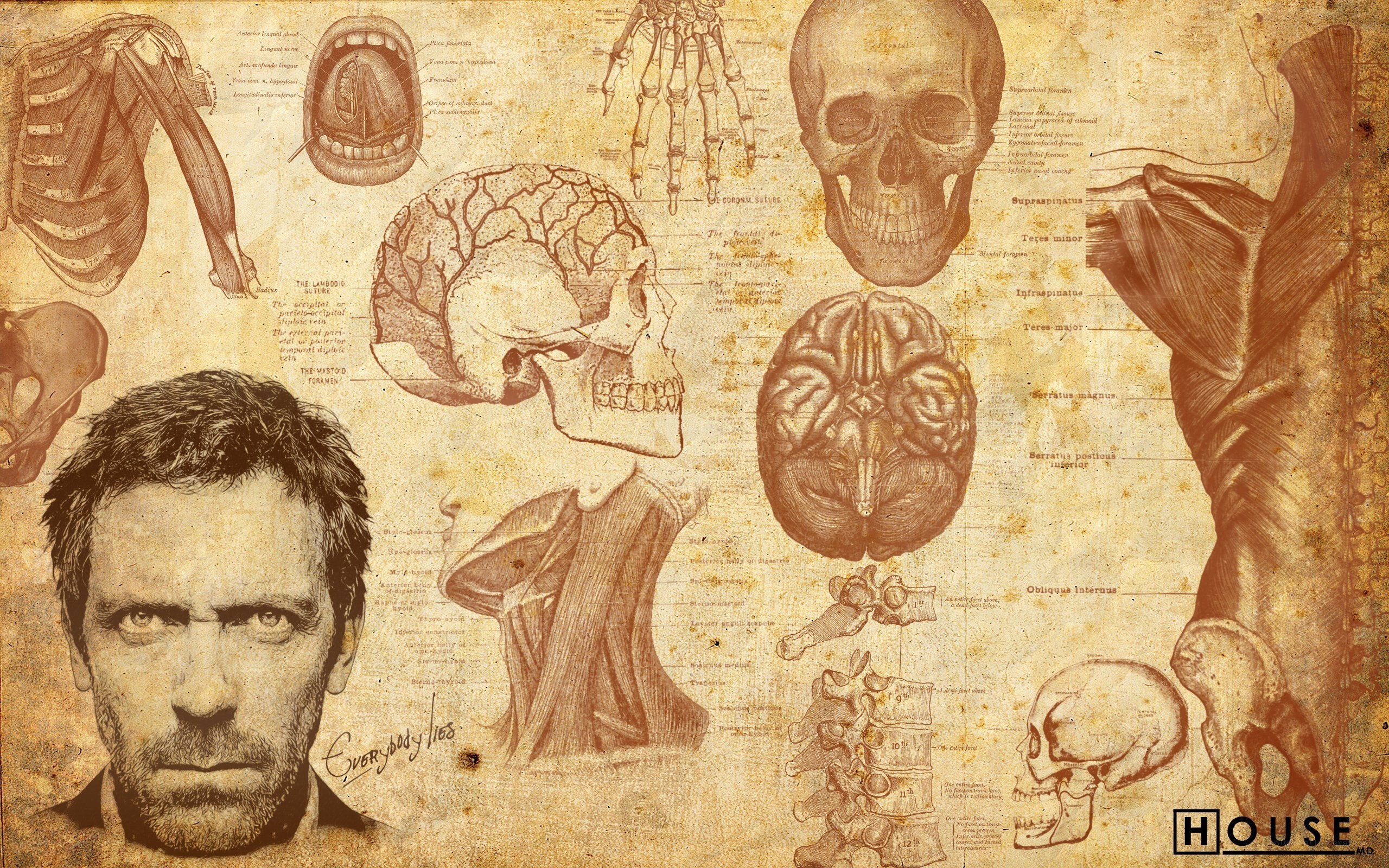 House MD character collage