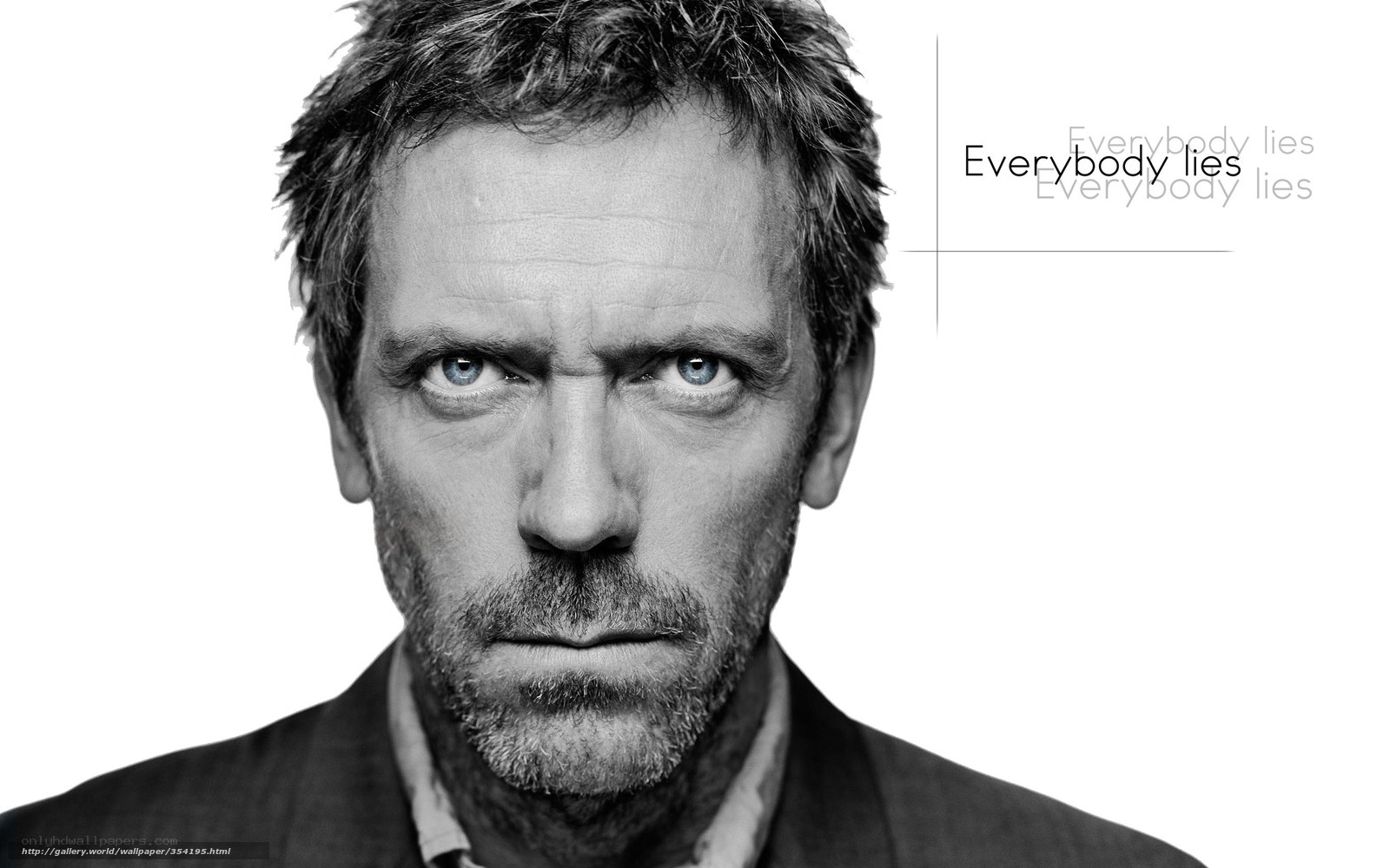 House MD character portrait