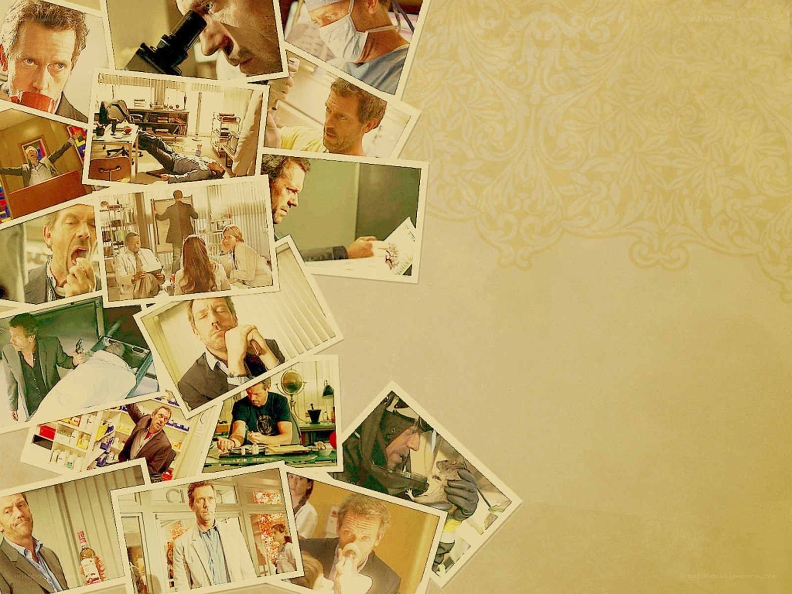 House MD collage