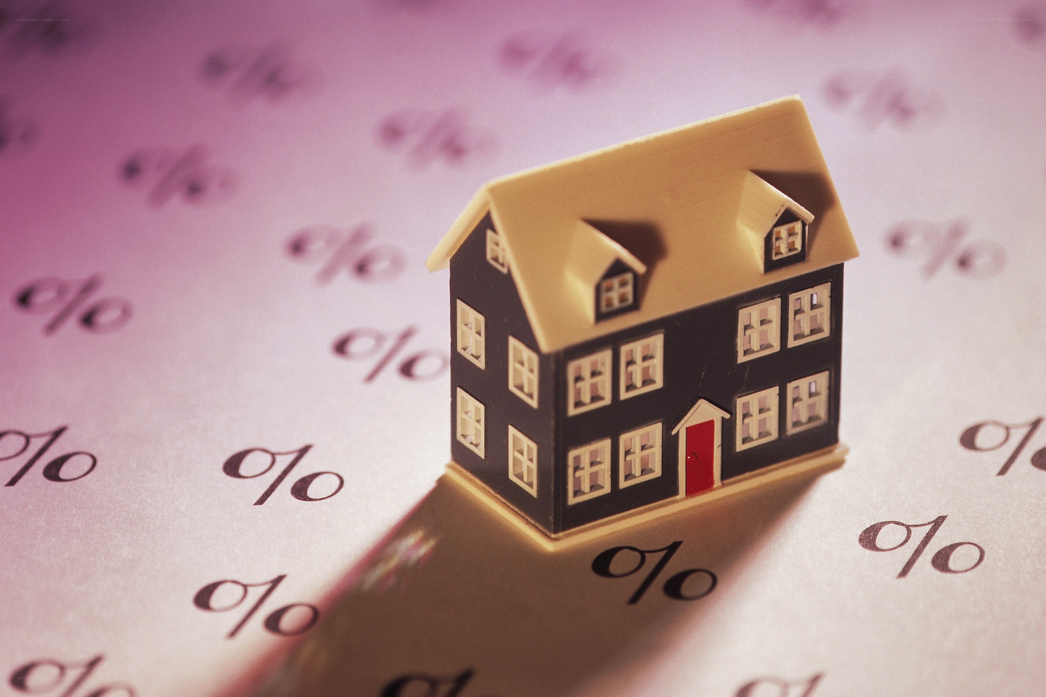 House model on percentage background