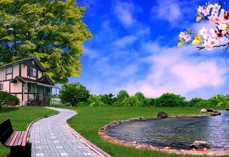 House Near Pond