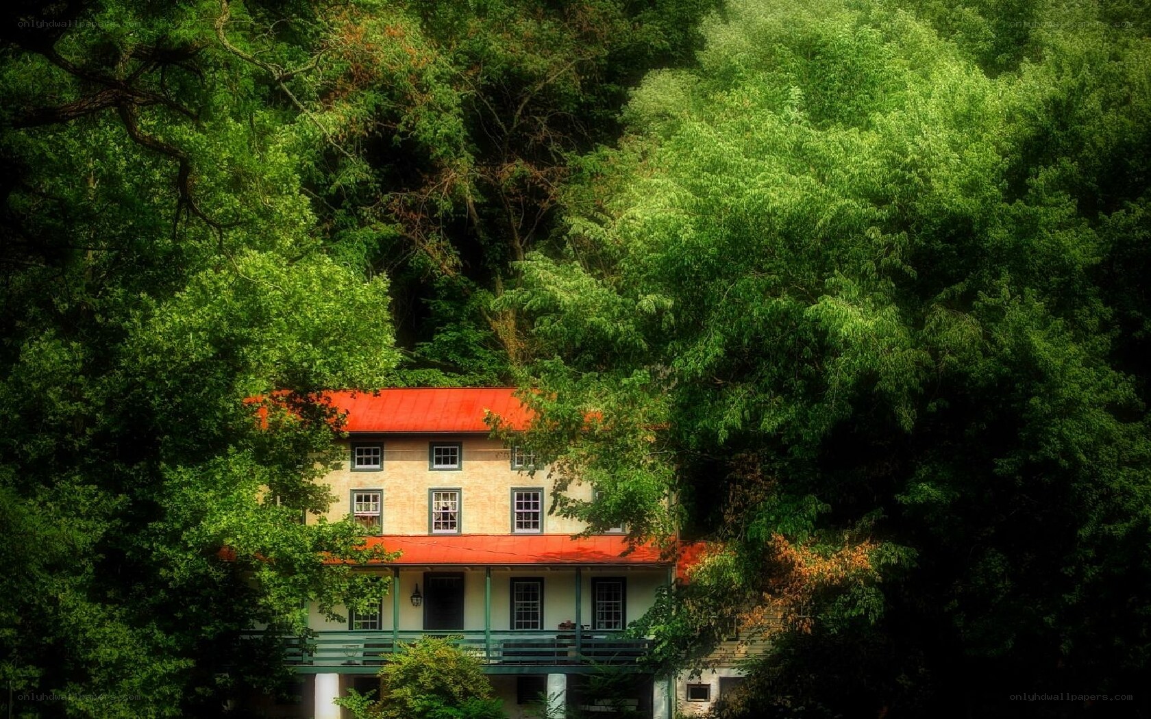 House nestled in forest