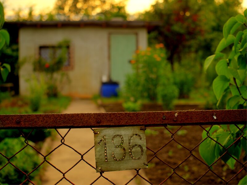 House number 136 in garden
