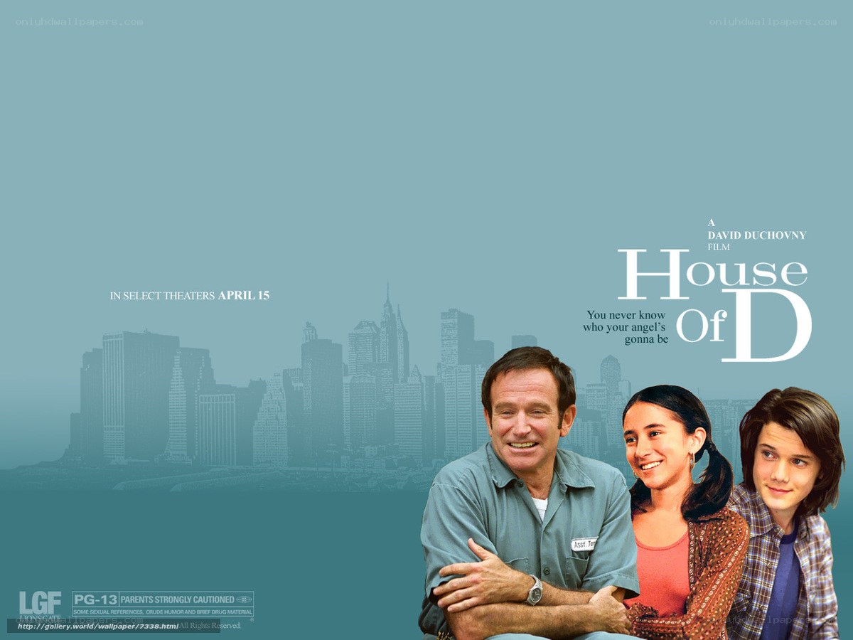 House of D movie poster