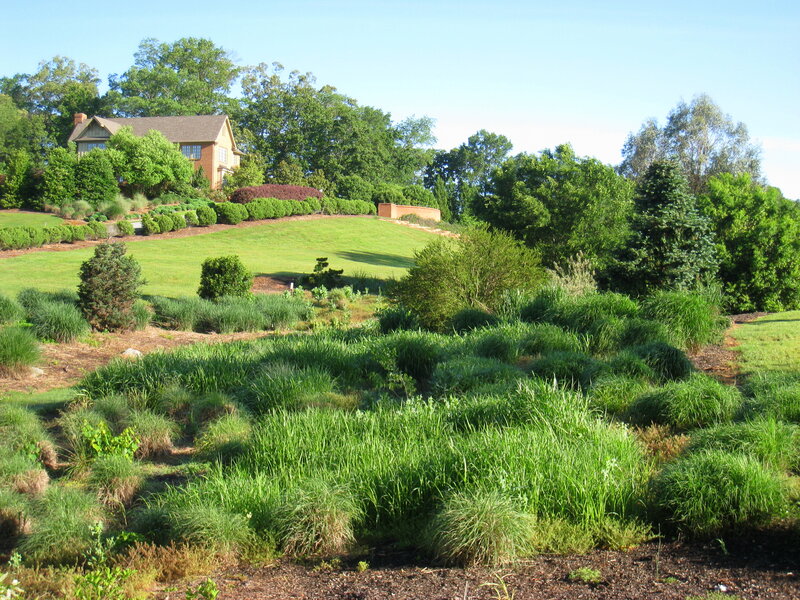 House on a Grassy Hill