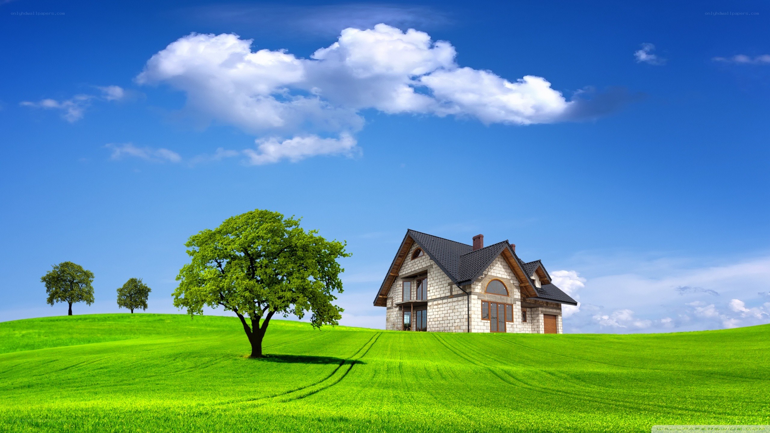House on a green hill