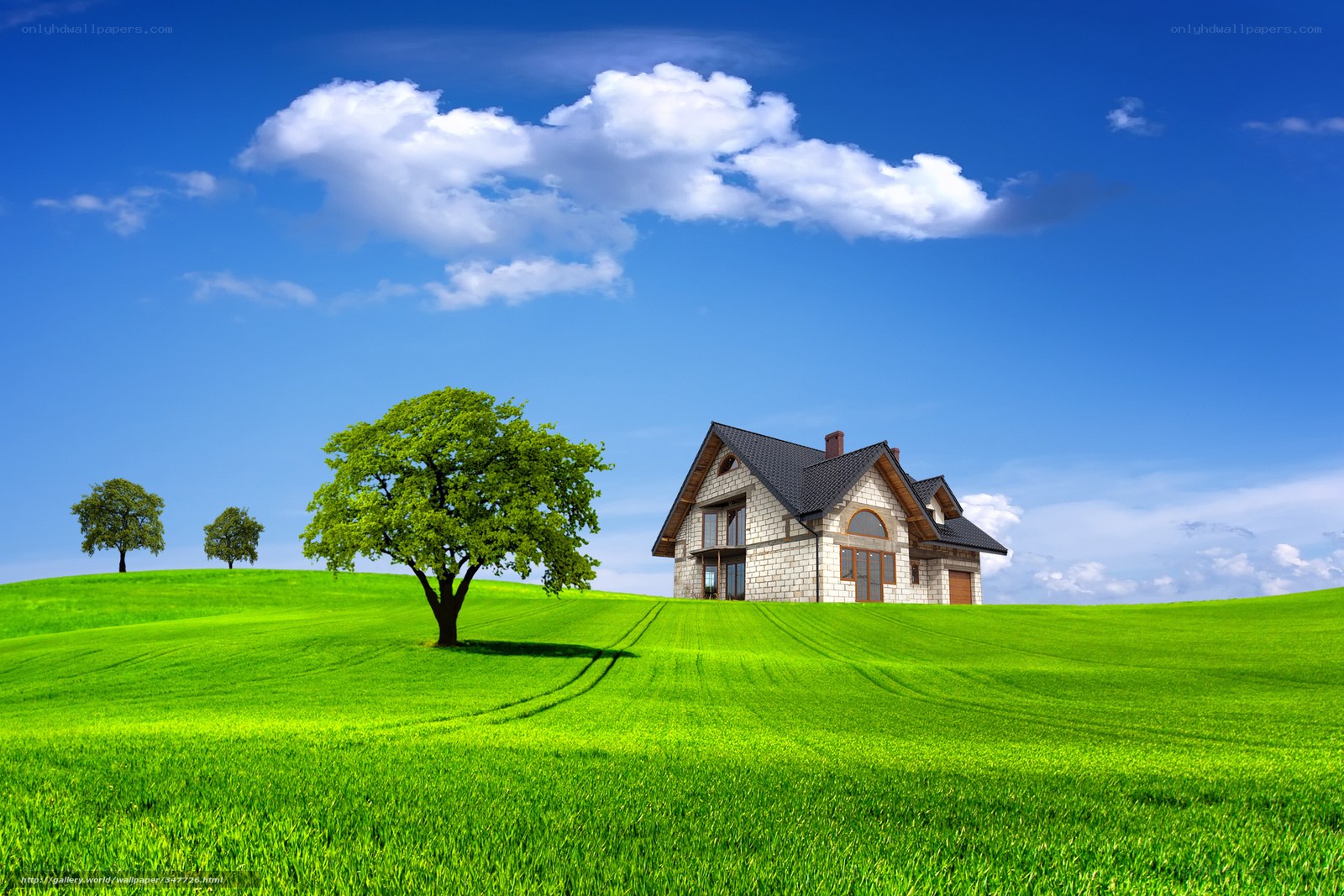 House on a green hill