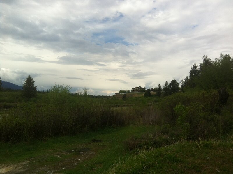 House on a Hill — Green, Overcast