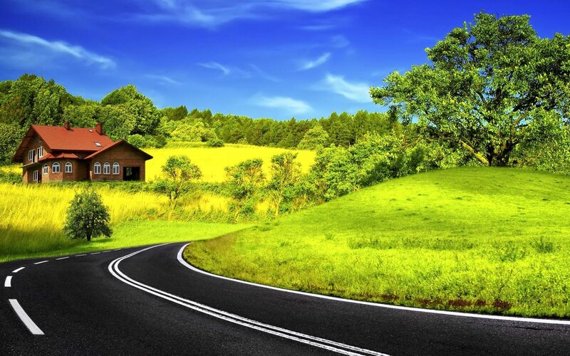 House on a Hill — Green, Serene, Afternoon, Photograph, Road, Trees