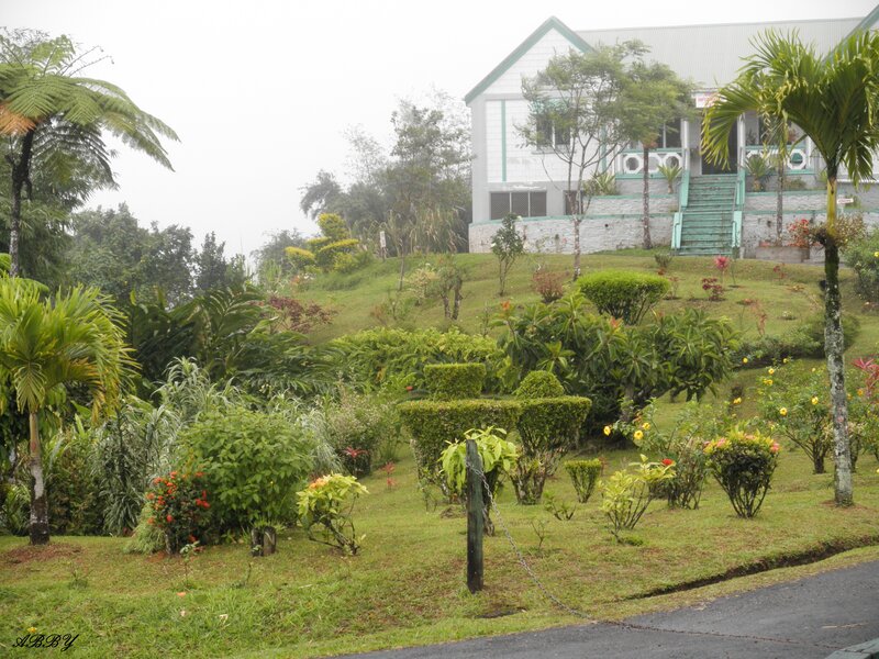 House on a Hillside — Green, Misty