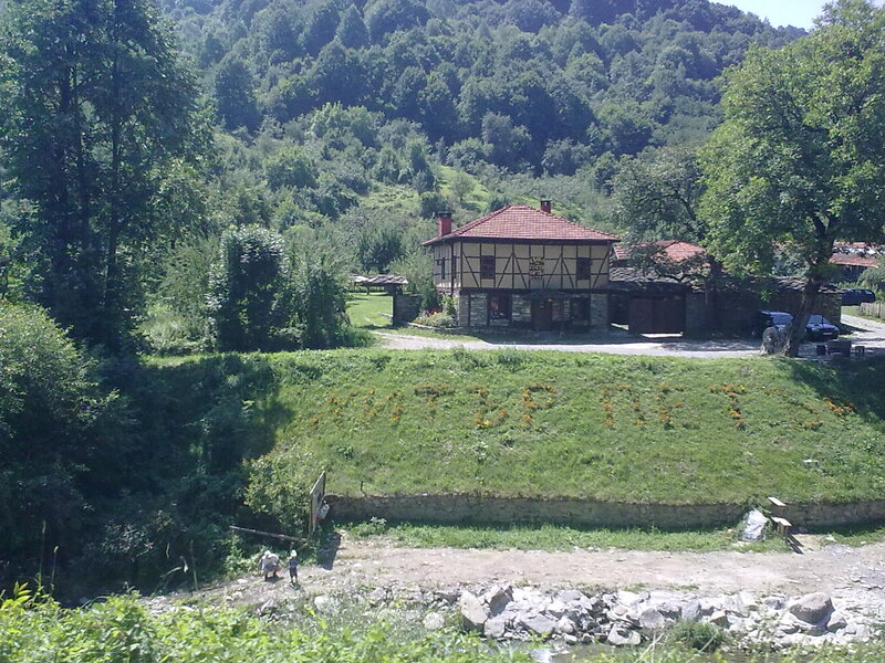 House on a Hillside — Green