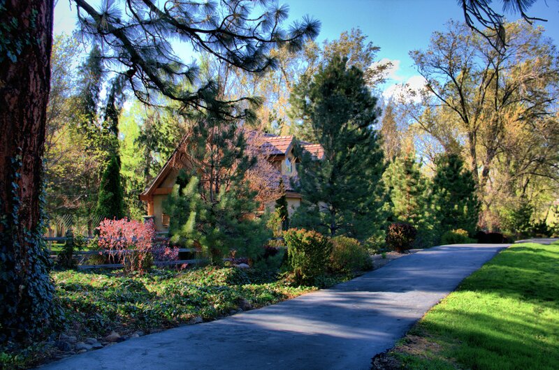 House on a Tree-lined Path