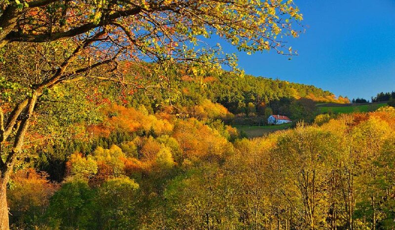 House on Autumn Hill