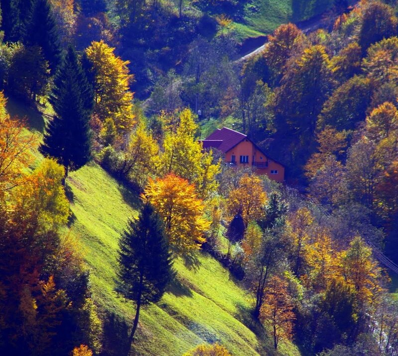 House on Autumn Hillside