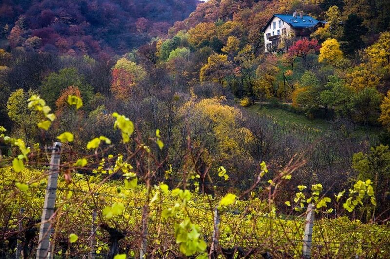 House on Autumn Hillside — Yellow