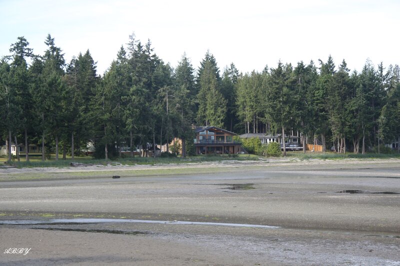 House on Forested Shore