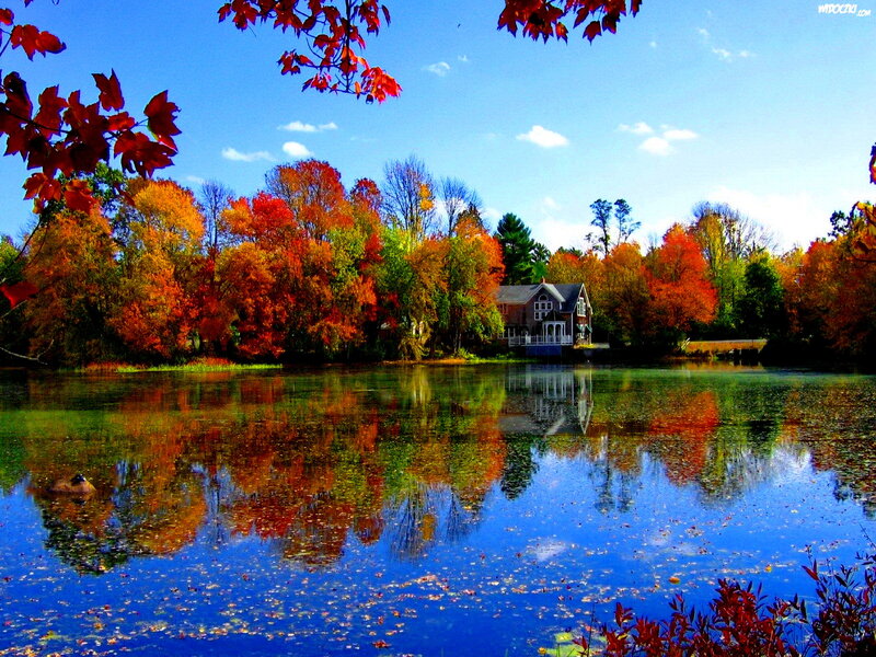 House on Lake Shore — Blue