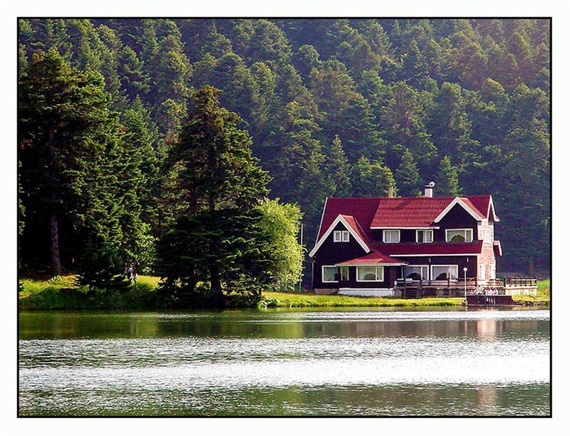 House on Lake Shore — Green, Serene, Afternoon, Photograph, Forest