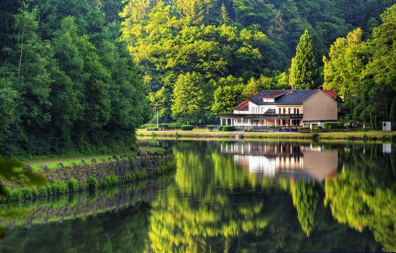 House on Lake Shore — Green, Serene, Afternoon, Photograph, Trees, Forest