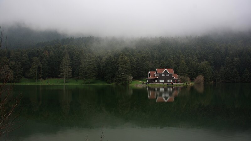 House on Lake Shore — Green, Serene, Morning, Photograph, Forest