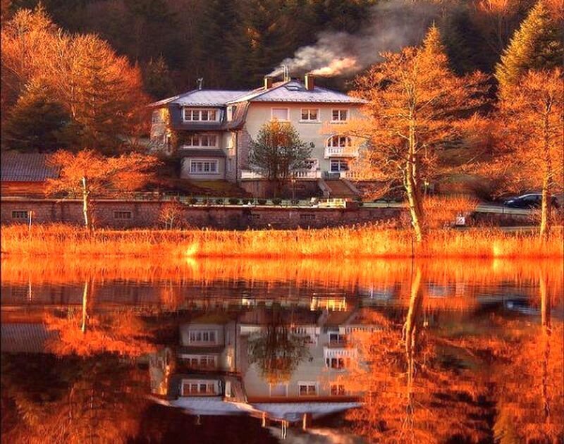 House on Lake Shore — Orange