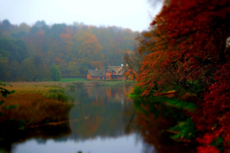 House on Lake Shore — Red