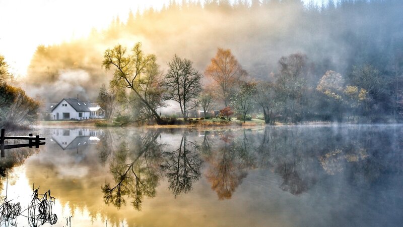 House on Lake Shore — Yellow, Serene, Morning, Photograph, Trees