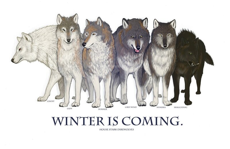 House Stark direwolves